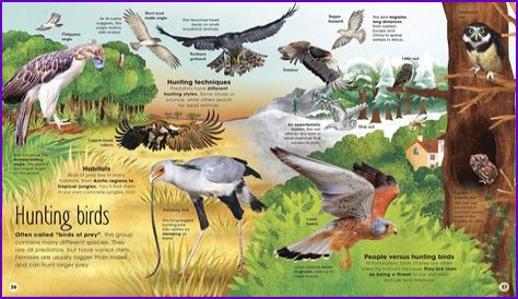 Uncover The Extraordinary World Of Victoria Looney: Discoveries And Insights